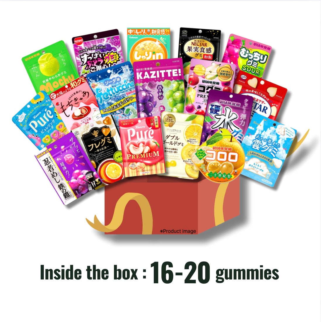 Family BOX (Shipping included)